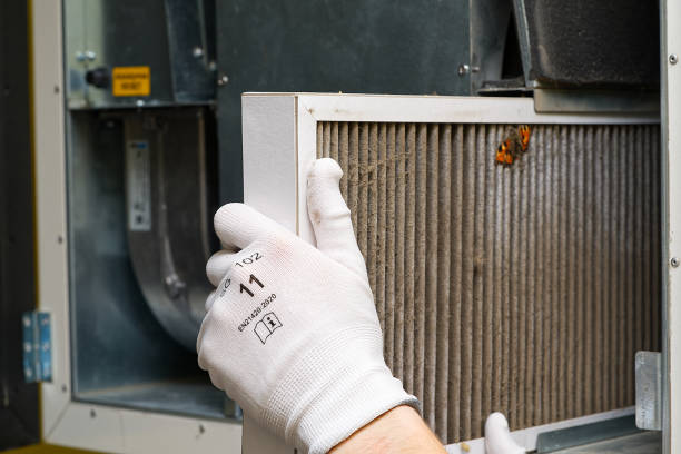 Best Air Duct Sanitizing Services  in Allyn, WA